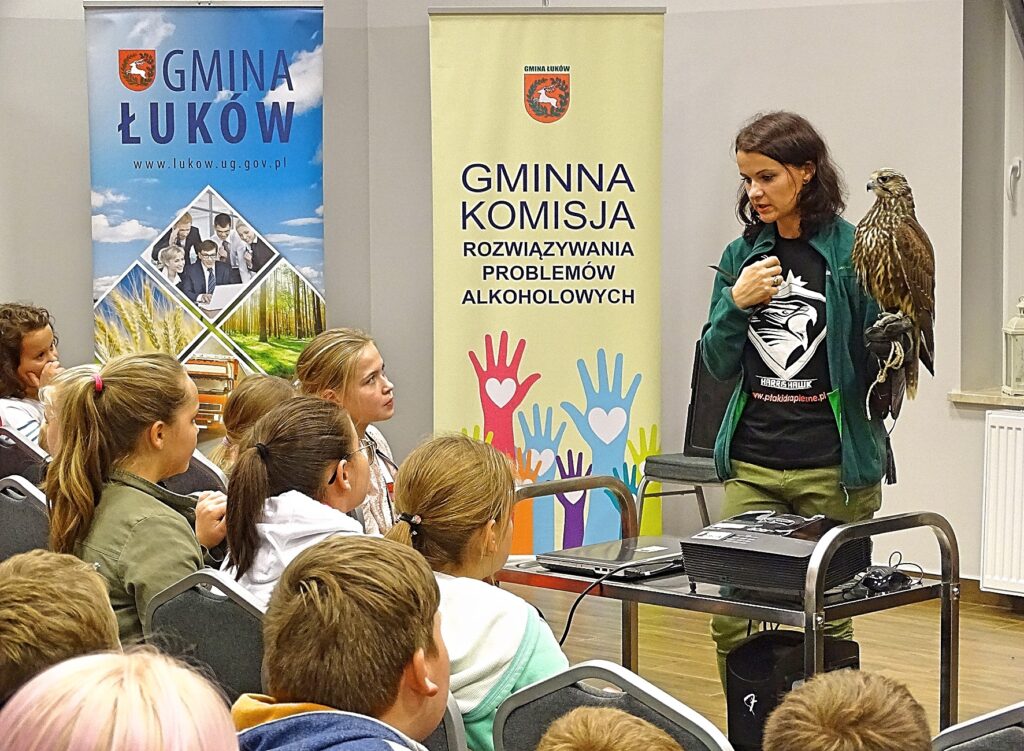 Pokaz sokolniczy z sokołem rarogiem